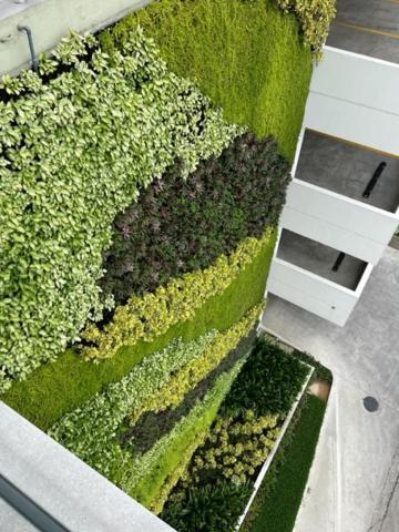 New Luxury Apartment With King - Size Bed Ceibos Guayaquil Exteriör bild